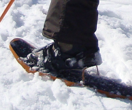 Snowshoeing