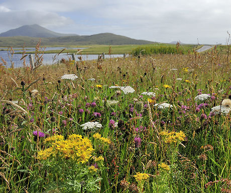 Outer Hebrides