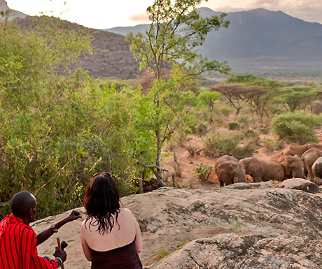 Elephants near Sarara Camp, Kenya