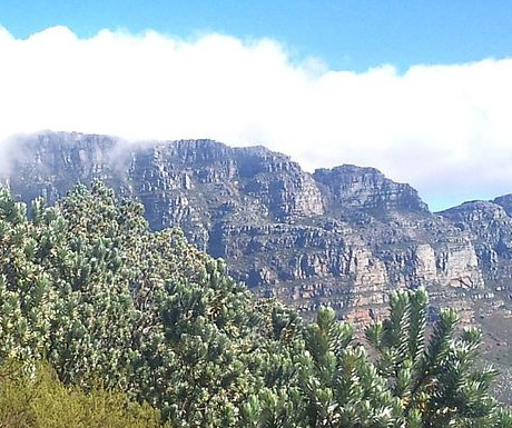 Table Mountain