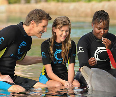 Dolphin in the Bahamas