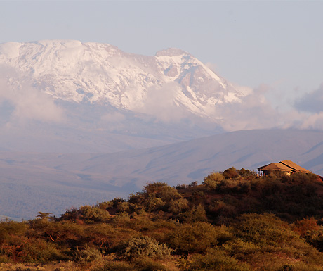 Kilimanjaro