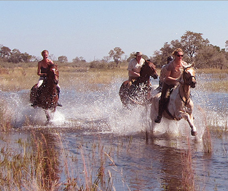 Botswana on horseback