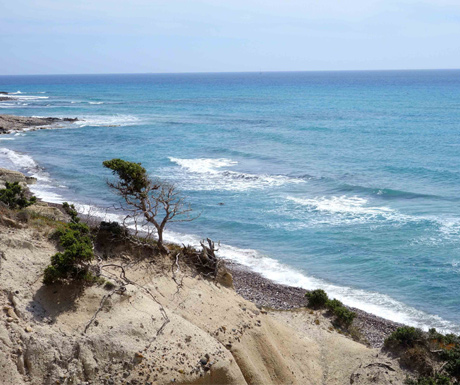 Cefalos Agios Theologos, Kos