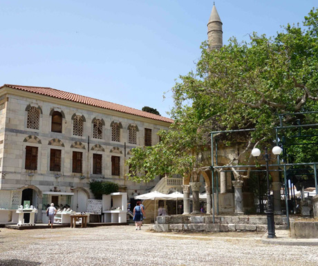 Hippocrates tree, Kos