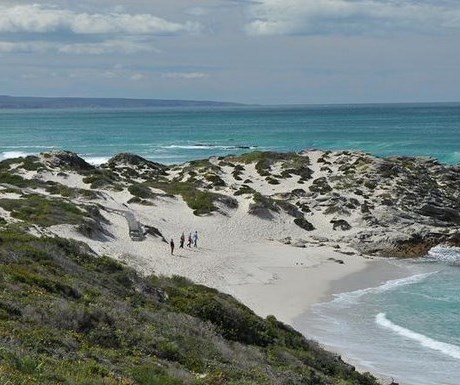 De Hoop Collection