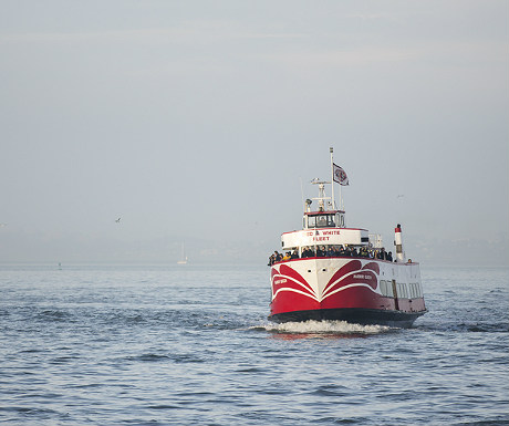 Golden Gate Bridge cruise