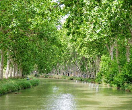 Canal du Midi