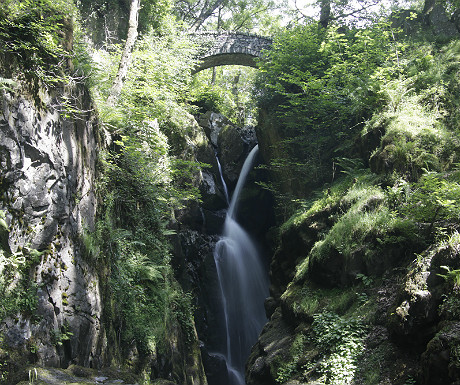 Aira Force