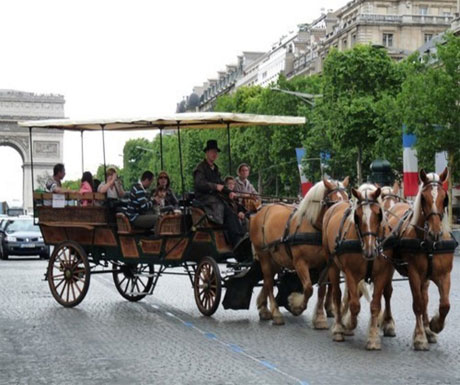 Paris by horse-drawn carriage