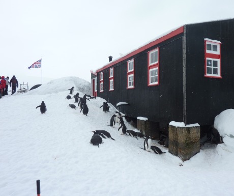 Port lockroy