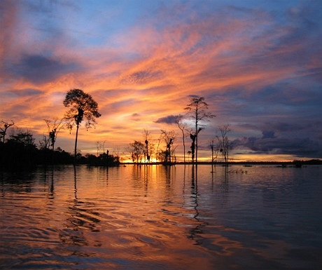 Amazon cruise