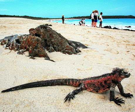 Galapagos beach