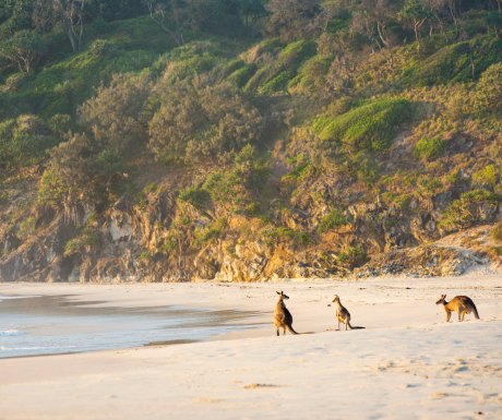 Kangaroo Island