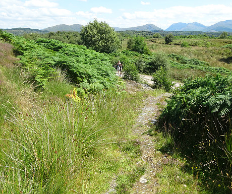 Isle of Eriska walks