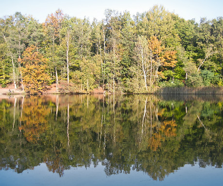 Autumn in Berlin