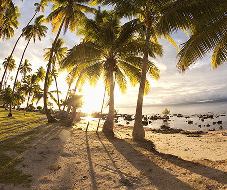 Fiji sunset