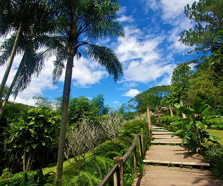 Garden of the Sleeping Giant, Fiji