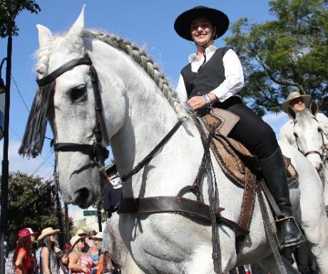 The horse parade