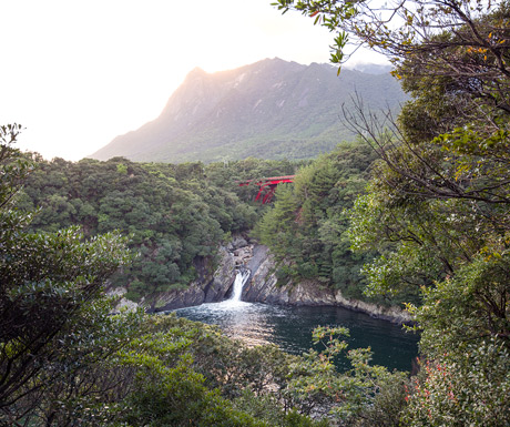 Beautiful-Yakushima