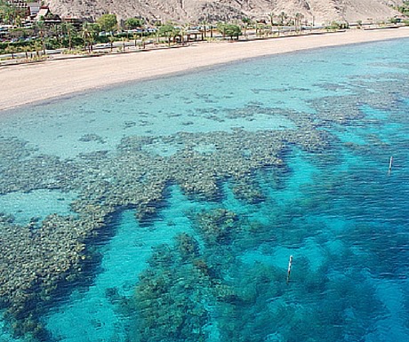 Coral Reef Beach