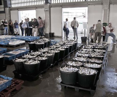 Fish Market Caleta de Velez