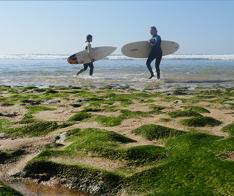 Surfers at Ribeira dIlhas