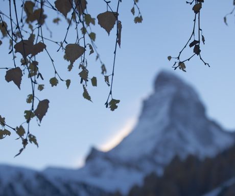 Zermatt dusk