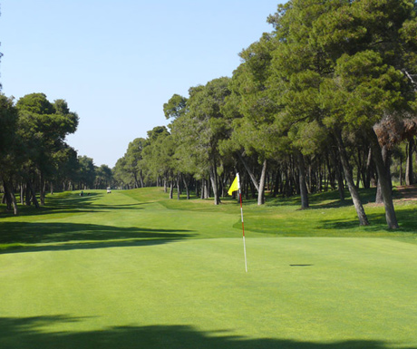 Rivadei Tessali Golf