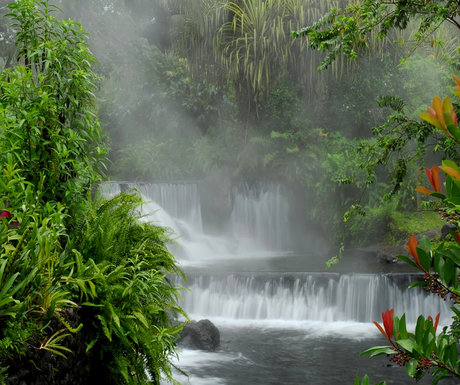 Tabacon Grand Spa, Arenal