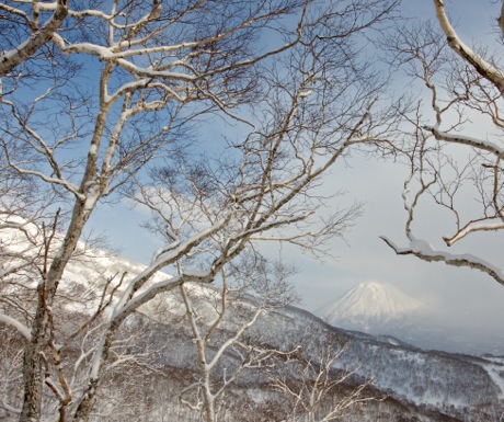 Niseko Moiwa view of Mount Yotei