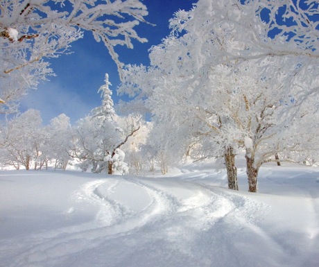 Kiroro blue sky and frozen landscape