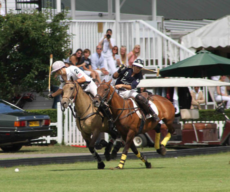 Ham Polo Club, London