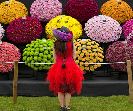 Chelsea Flower Show