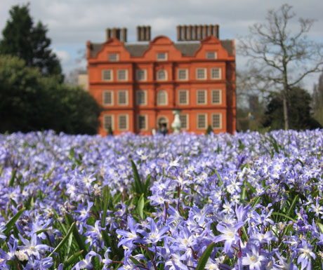 Kew Gardens