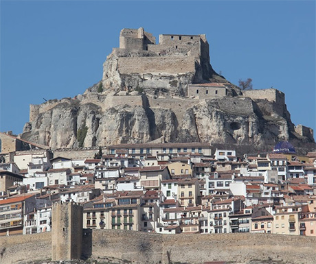 Morella