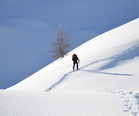 Snowshoeing