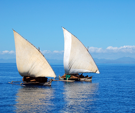 Dhow boats, Vamizi