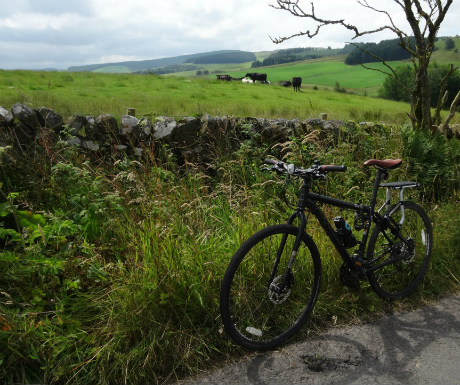 Drumlanrig view