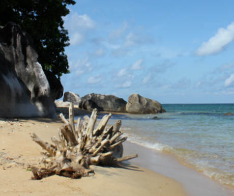 Tioman