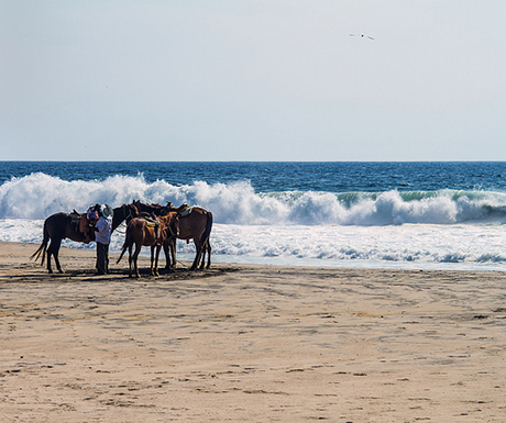 Playa Zicatela