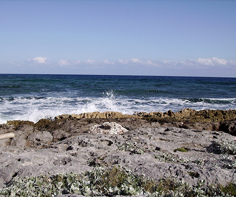 Akumal Beach