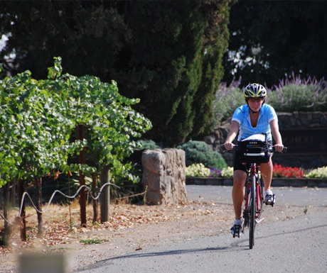 Riding in Napa Valley