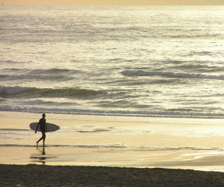 Surfing