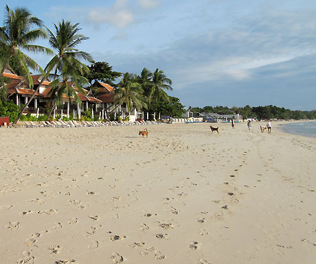 Chaweng beach