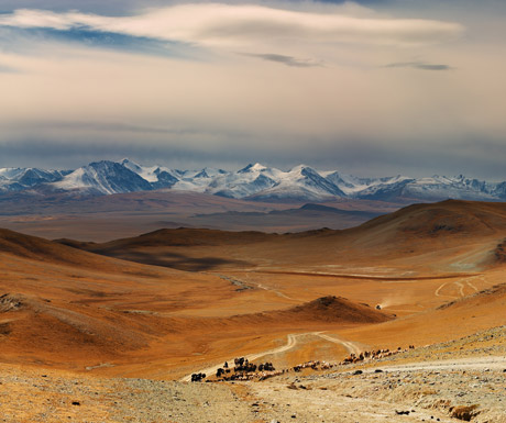 Gobi Desert, Mongolia