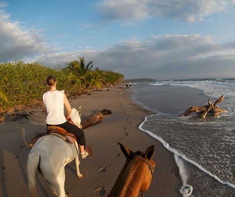 Horseriding