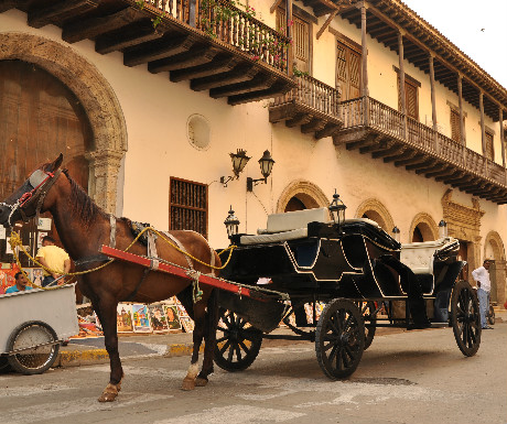 Chariot ride