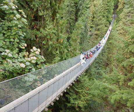 Vancouver_capilano_park_bridge