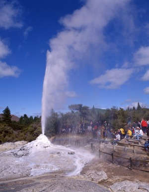 The Lady Knox Geyser erupts at Wai-O-Tapu Thermal Wonderland, at Rotorua.